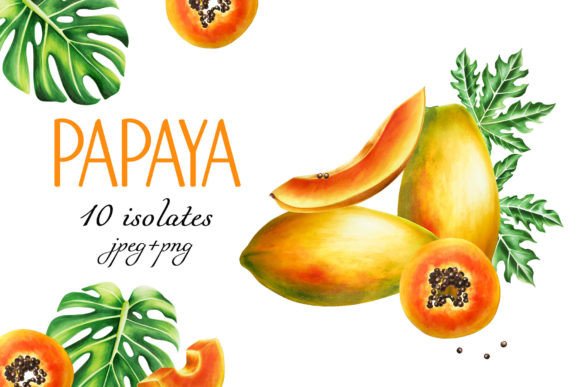 Papaya Isolates: A Creative Powerhouse for Modern Design and Business Applications